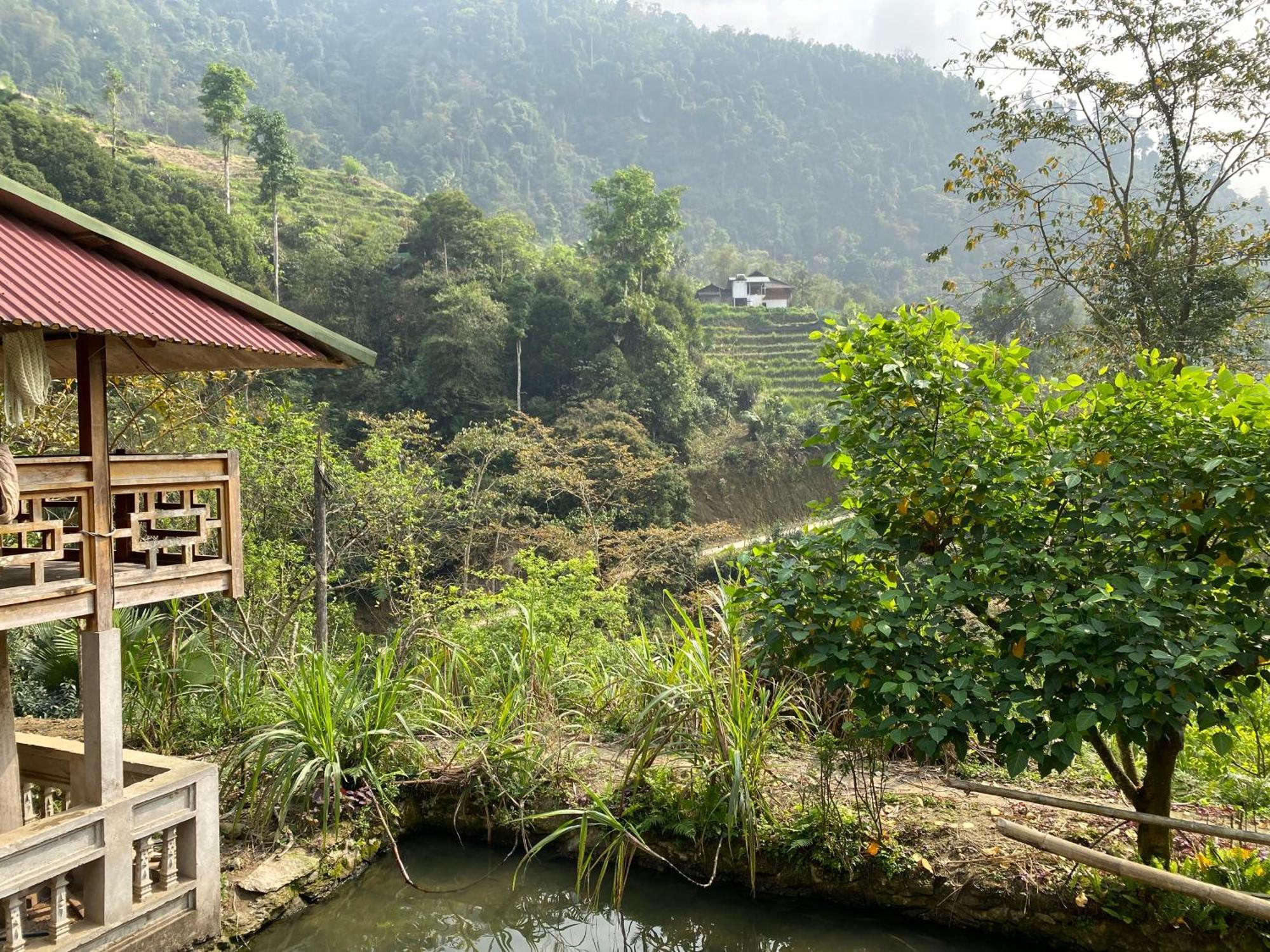 Bikki'S Jungle Homestay Ha Giang Exterior foto